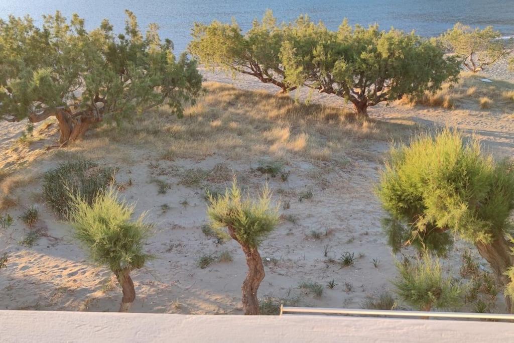 Willa Aegean Dream House Kamares  Zewnętrze zdjęcie